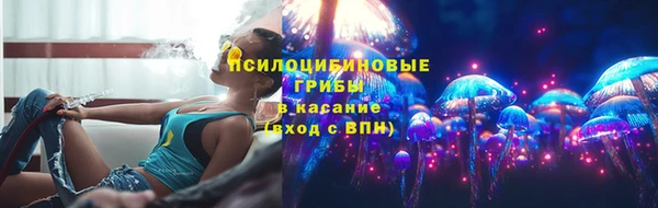 твердый Елизово