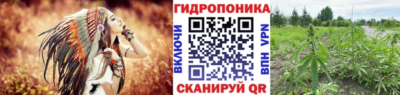 Канабис Amnesia  Купить  Сольвычегодск 